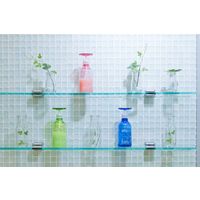 プロトワーク オカダジーエイジェイエコポン/GR 4571373020156 1個（直送品）