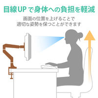 エレコム ディスプレイアーム/シングルアーム/ロング/ガス式 DPA-SL02SV 1個（直送品）