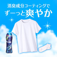 レノア本格消臭 デオドランドビーズ スポーツ クールリフレッシュ 詰め替え 特大 760mL 1箱（6個入） 抗菌 P&G