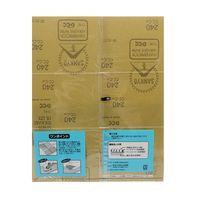 ビッグマン Bigman(ビッグマン) 耐水紙ヤスリ#240 048651 1セット(1個×10)