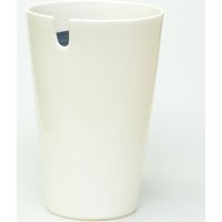 未来アグリス　PD COLLECTION　中鉢観葉植物　ID-8001　フィカス　ベンガレンシス　ベーシックWH　611000058　1鉢（直送品）