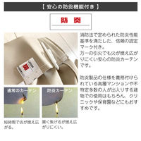 マッチングジャパン カーテン市場 遮光カーテン 防炎1級 片開き 幅2950×高さ2660mm y-ber-be295x266A 1枚（直送品）