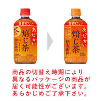 サントリー ホット伊右衛門 焙じ茶 500ml 1箱（24本入）