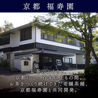 サントリー ホット伊右衛門 500ml 1セット（48本）