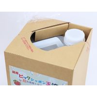 池田工業社 日本製 ビックシャボン玉液 超お徳用10リットル 410004 1個（直送品）