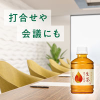 キリンビバレッジ キリン 生茶 ほうじ茶 ホット＆コールド 280ml 1セット（48本） お茶  ペットボトル