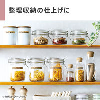 カシオ計算機 カシオネームランド KL-H75 1個