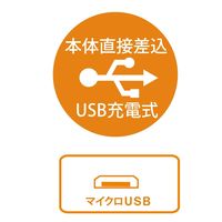 NICRON H30F フォーカスヘッドライト900LM 充電式 1本