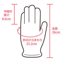 伊藤忠リーテイルリンク ポリエチレン手袋（TPE） 内エンボス L SLDT-L 1箱（100枚入）（使い捨てグローブ）
