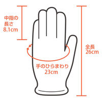 伊藤忠リーテイルリンク ポリエチレン手袋（TPE） 内エンボス M SLDT-M 1箱（100枚入）（使い捨てグローブ）