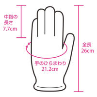 伊藤忠リーテイルリンク ポリエチレン手袋(TPE) 内エンボス S SLDT-S 1箱(100枚入)