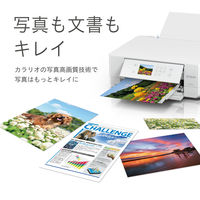 エプソン (EPSON) A4インクジェット複合機プリンタ カラリオ EP-813A 1台