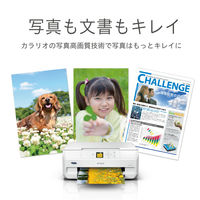 エプソン (EPSON) A4カラーインクジェット複合機プリンタ カラリオ EP-713A 1台