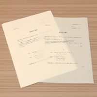大直 奉書紙 生成 A4 100枚入 207020001 1個