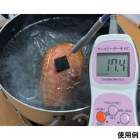 高速応答デジタル中心温度計(キャリブレーション機能付) 本体+センサ1本付(TKPー1030) 校正証明書付 4-4525-02-20 1個（直送品）