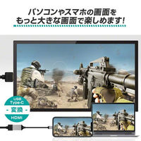 USB Type-C to HDMI変換アダプタ Type-C[オス] - HDMI[メス] 変換ケーブル 3R-CMH02 1個（わけあり品）