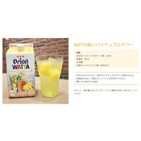 WATTA（ワッタ） パイナップル サワーの素 パック 900ml 1本 リキュール