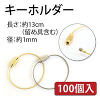 日本紐釦貿易(Nippon Chuko) 日本紐釦貿易 キーホルダーワイヤー金具 100個入り 長さ13cm シルバー KD22-100（直送品）