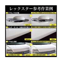 アズワン レックスター 3本入 63-6513-48 1セット(2個)（直送品）