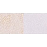 アズマ工業 ブラッシングスポンジ・お風呂床用 327100100 1個