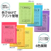 プラス ファイル 年組氏名 スクール クリアホルダー A4 レッド 79733 1パック（10枚）
