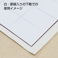 あかしや 書道半紙 「真白」厚口 50枚入 AO-32H 1パック