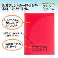 プラス 年組氏名 スクール プリントファイル A4 2ポケット レッド 79753 1セット(10冊)