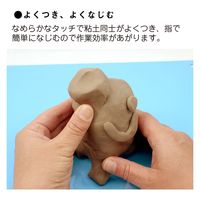 日本教材製作所 日本教材 超軽量油粘土 型どり用油粘土 ピュアクレイ ブラウン 約150g NKZ0867 1セット(5個)