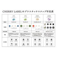 カジテック CHERRY LABEL SUN GRIP プラスチックスナップ 13mm 12組入 黒 SG-580 1セット(5袋)