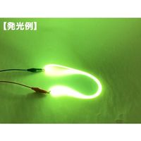 共立電子産業 フィラメントLED 300mm 緑 65-9685-20 1個（直送品）