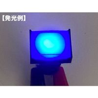 共立電子産業 照光式プッシュスイッチ 長方形 オルタネイト 青色 24V 65-9645-04 1個（直送品）