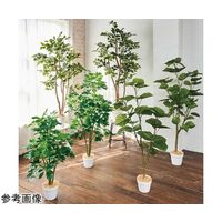 アズワン シェフレラ(フェイクグリーン 人工樹木)100cm 65-9345-86 1個（直送品）