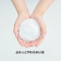 アララ 薬用泡のハンドソープ 本体 350ml 1個 【泡タイプ】 岩谷産業
