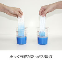 ビストロ先生 ふっくら綿の吸水ふきん 33×33cm 1パック（2枚入） サンベルム