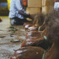 しゅろのやさしいたわし 万能タイプ 特小 日本製 1個 高田耕造商店