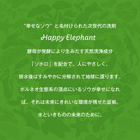 ハッピーエレファント 野菜・食器用洗剤 グレープフルーツの香り ポンプ 本体 300mL 1セット（2個） サラヤ