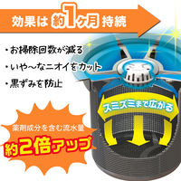キッチン 排水口の ヌメ落ちくん カバータイプ 排水口洗浄剤 本体 1個 レック