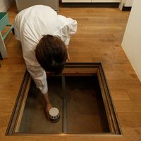 ドラネズミバリア 強力忌避剤 400g 1個 フマキラー