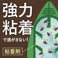 コバエ 駆除 対策 観葉植物 アースガーデン BotaNice 土からわいた コバエ退治 粘着剤タイプ 1個（4個入） アース製薬