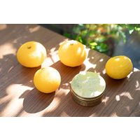 STEAM CREAM（スチームクリーム） ゆず＆ジンジャー 75g