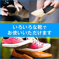 Dr.Scholl　強力消臭・抗菌　インソール　804501　(2枚入）ショールズウェルネスカンパニー