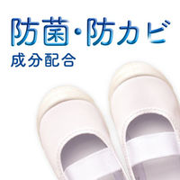 Dr.Scholl（ドクターショール） 消臭・抗菌靴スプレー ベビーパウダーの香り 1セット（3本入） ショールズウェルネスカンパニー