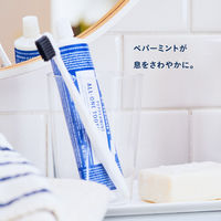 ドクターブロナー オールワントゥースペースト ペパーミント 140g ネイチャーズウェイ 歯磨き粉