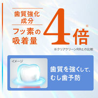 ピュオーラ PureOra36500 歯磨き粉 薬用歯の根元コートジェルハミガキ 本体 115g 1個 花王