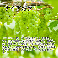 シャンモリ ナイアガラ　白ワイン　極甘口 500ml 1本　盛田甲州ワイナリー　国産ぶどう100%　日本ワイン