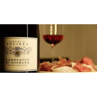 【エノテカ】イタリア ランブルスコ・ディ・ソルバーラ・セッコ スパークリングワイン　赤　ライトボディ 750ml 1本