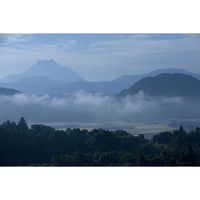 いいちこ　25度　900ml　瓶　1本　三和酒類  麦焼酎