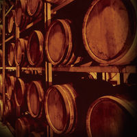 極上宝焼酎　25度　1.8L　パック　1本　甲類焼酎　宝酒造