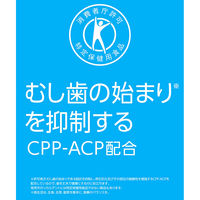 モンデリーズ リカルデントさっぱりミントガム（粒）ボトルR  6個