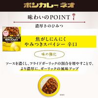 ボンカレーネオ 焦がしにんにく やみつきスパイシー 辛口 1セット（3個）大塚食品 レトルトカレー レンジ対応